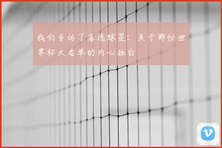 我们专访了落选球星：关于那份世界杯大名单的内心独白