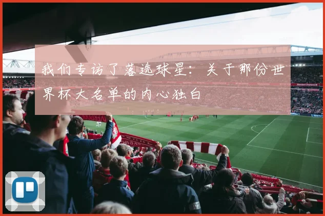 我们专访了落选球星：关于那份世界杯大名单的内心独白
