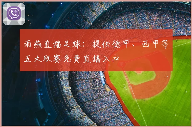 雨燕直播足球：提供德甲、西甲等五大联赛免费直播入口