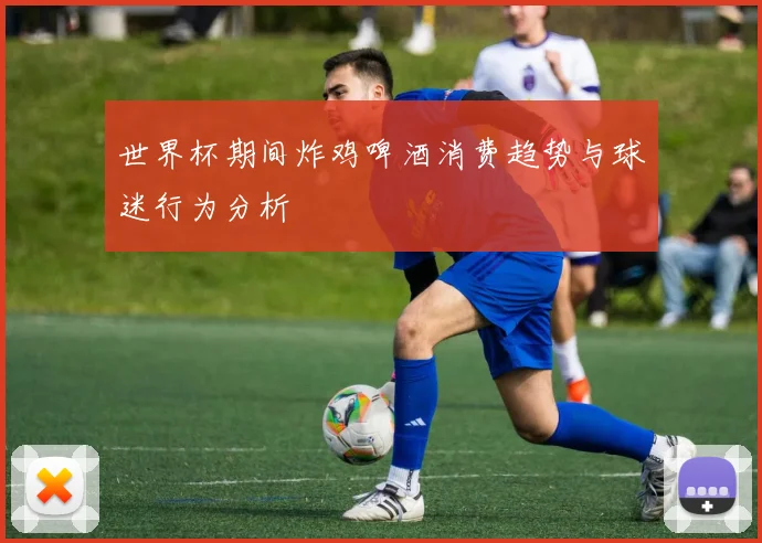 世界杯期间炸鸡啤酒消费趋势与球迷行为分析