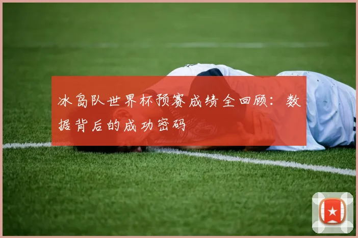 冰岛队世界杯预赛成绩全回顾：数据背后的成功密码