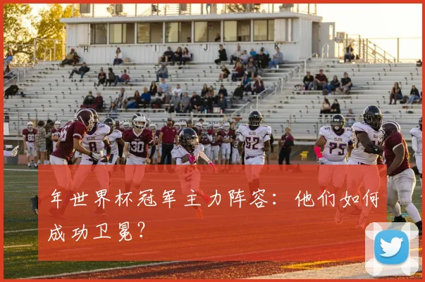 年世界杯冠军主力阵容：他们如何成功卫冕？